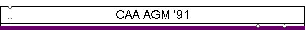 CAA AGM '91