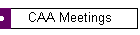 CAA Meetings